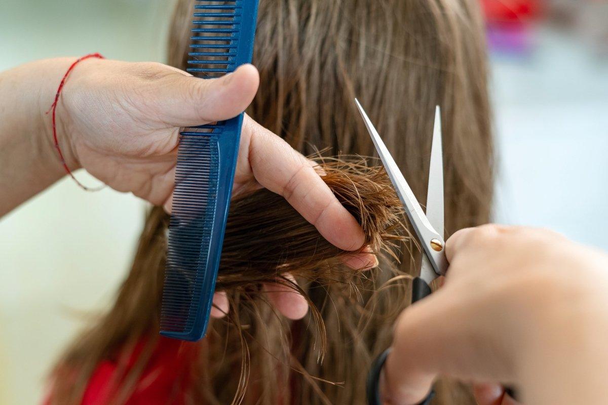 A Beginners Guide To Cutting Hair: Men & Women! - Japan Scissors