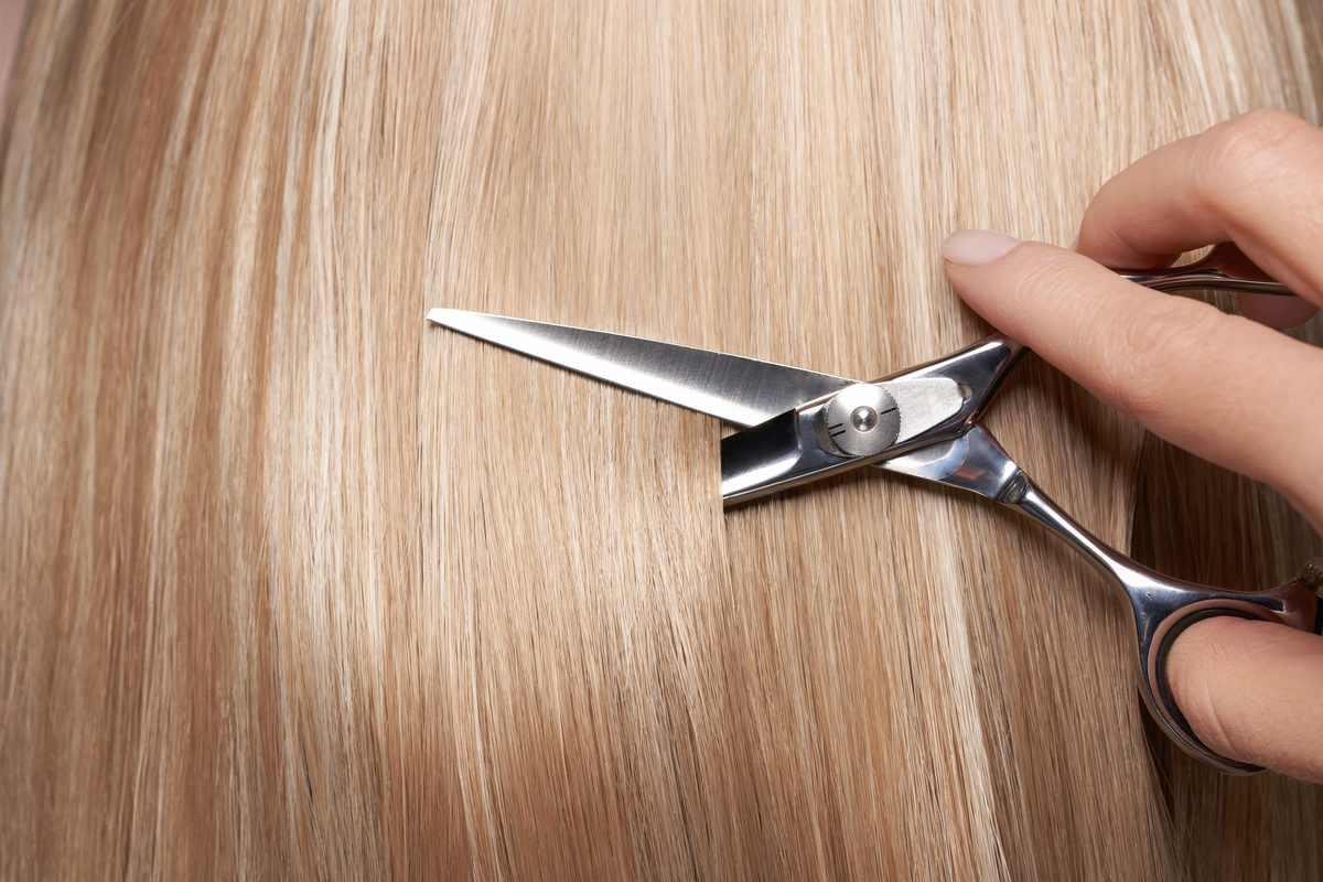 Slide Haircutting | The Slide Hair Cutting Technique Guide - Japan Scissors