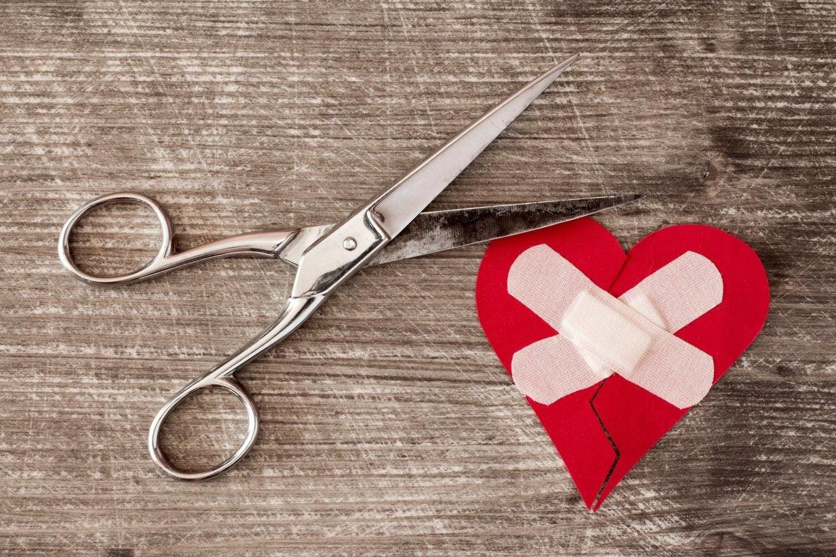 The Importance of Scissor Maintenance - Japan Scissors