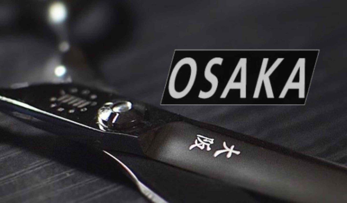 What is the Passion Osaka Hair Scissor Brand For Hairdressers - Japan Scissors